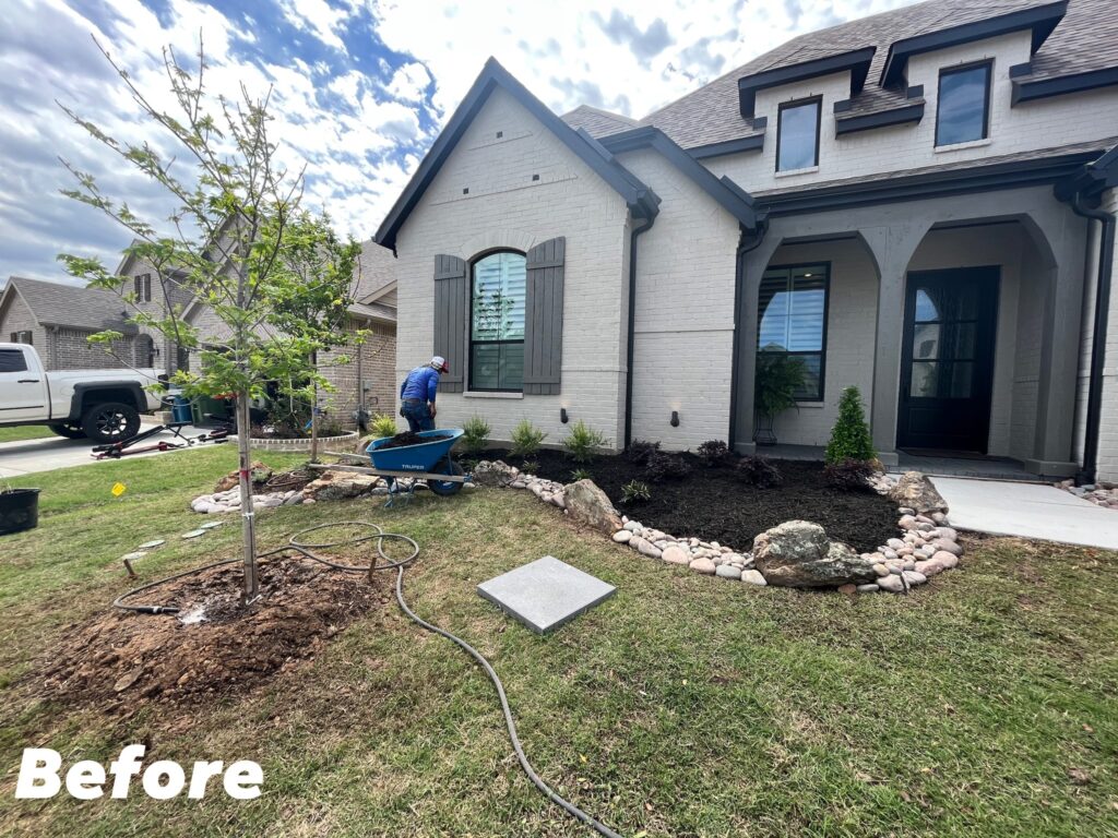 Lanscaping in Plano
